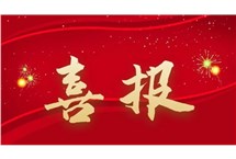 喜报｜广州珠江电缆荣获“深圳标准认证”